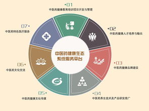 藏象集團(tuán) 引領(lǐng)互聯(lián)網(wǎng)數(shù)據(jù)服務(wù)新紀(jì)元的創(chuàng)新力量